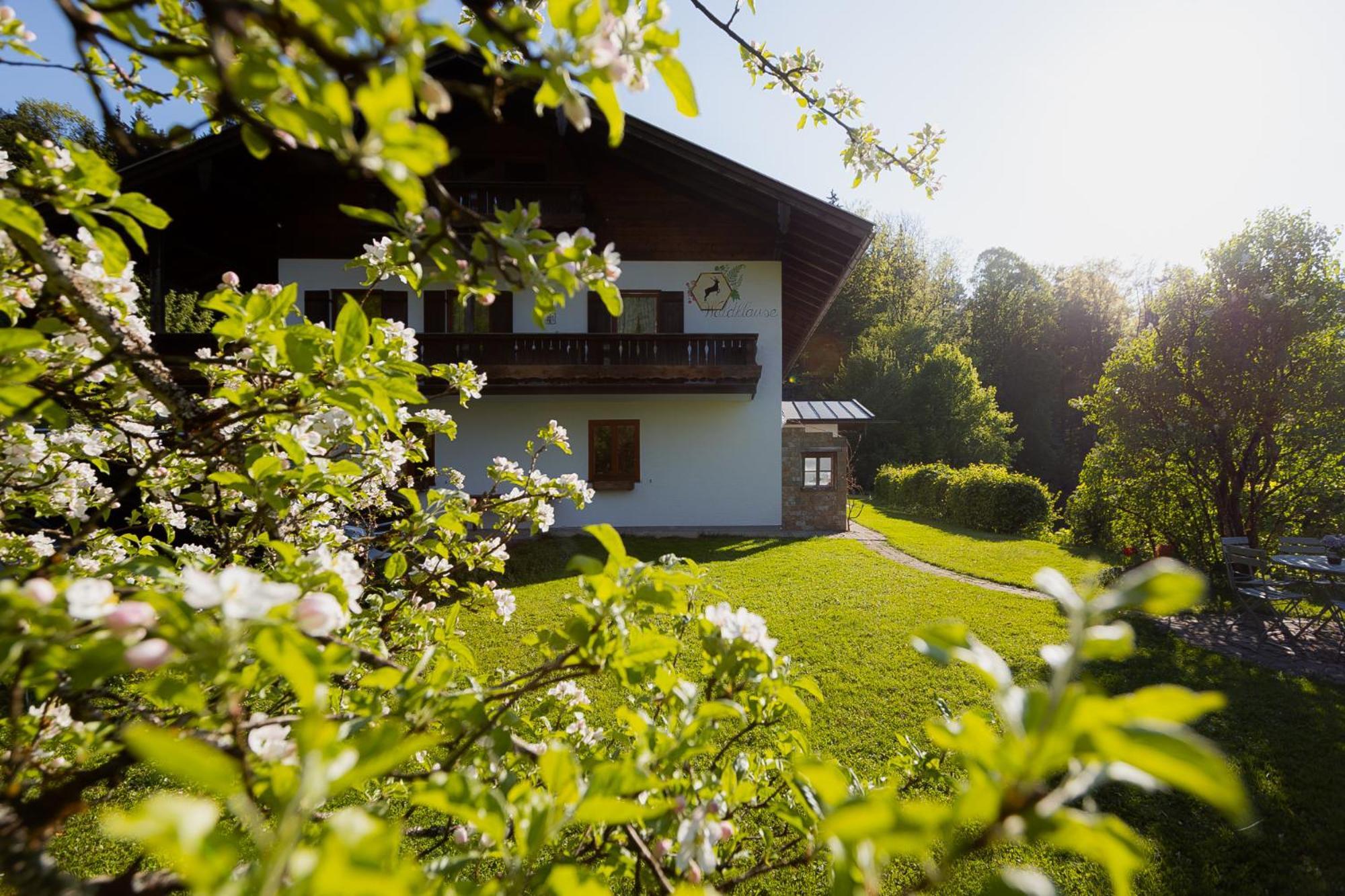 Ferienwohnung Mankei Шёнау-ам-Кёнигсзе Экстерьер фото